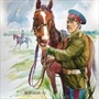 История донского казачества XVIII – нач. XX вв.