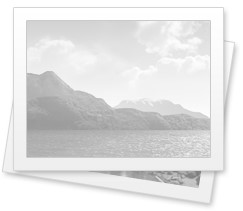 Легкомоторный самолет разбился в Московской области