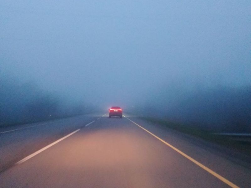 О тумане на дорогах предупредили донских автомобилистов