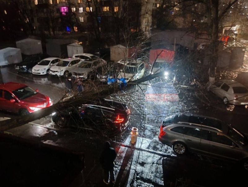 Упавшее дерево повредило автомобили и оборвало провода на улице Волкова в Ростове