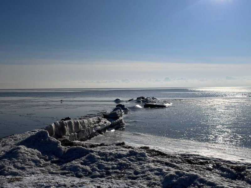 Ученые обнаружили в Азовском море высокую концентрацию микропластика