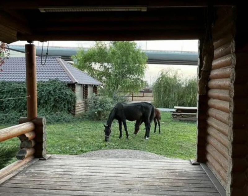 Конный клуб с собственным пляжем на Дону выставили на продажу за 105 млн рублей в Ростовской области